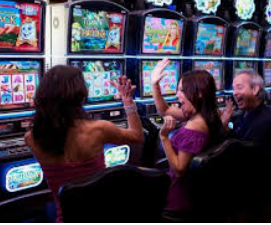 乐天堂app电脑免费版